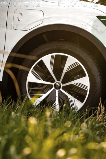 Close-up of a car tire in a meadow in sunlight, Deer e-car sharing, Renault Megane, Calw, Germany
