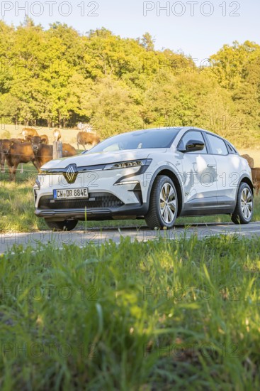 White car standing in nature in a meadow at sunset, Deer e-Carsharing, Renault Megane, Calw, Germany