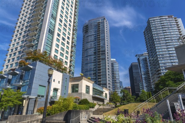 Modern skyscrapers rise above a green park in vancouver, british columbia, creating a vibrant urban landscape against a clear blue sky, showcasing the city's blend of nature and architecture