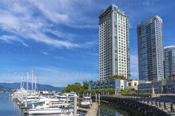 Modern residential skyscrapers rise majestically over the bustling coal harbour marina in vancouver. British columbia. On a sunny day with a vibrant blue sky and calm waters reflecting the cityscape