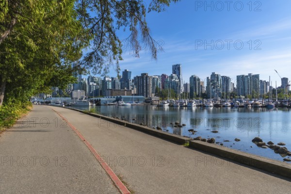 Lush green trees frame a tranquil paved pathway bordering a calm marina filled with boats, with the impressive vancouver city skyline rising majestically in the background under a clear blue sky