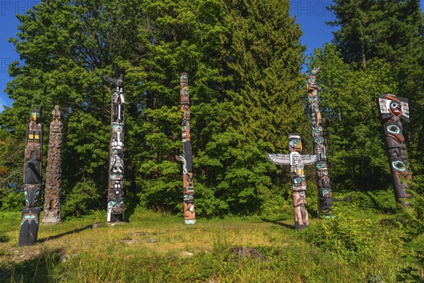 Totem poles representing indigenous art are standing in a park in vancouver, british columbia, surrounded by lush vegetation under a clear blue sky, creating a captivating cultural landscape