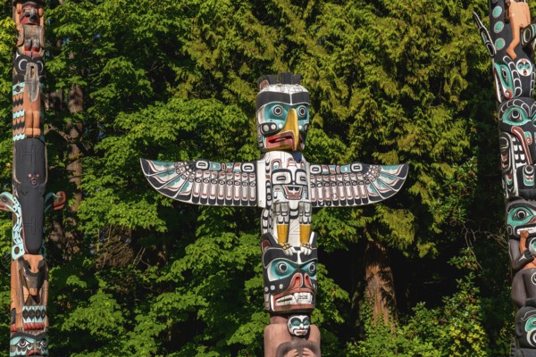 Colorful totem poles rise against a backdrop of lush green trees, reflecting the rich history and traditions of indigenous peoples in stanley park, vancouver