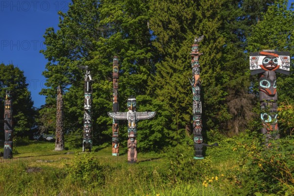 Totem poles standing tall against a backdrop of lush trees and blue sky, showcasing the rich history and artistry of indigenous cultures in stanley park, vancouver, british columbia
