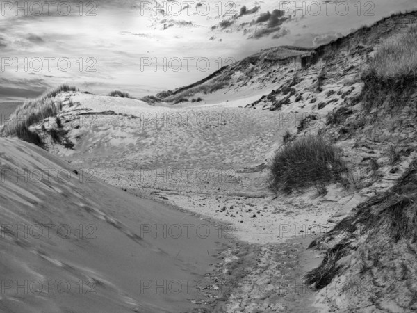 Dune landscape, Red Cliff, hiking trail, sunset, monochrome, Wenningstedt, North Sea, Germany