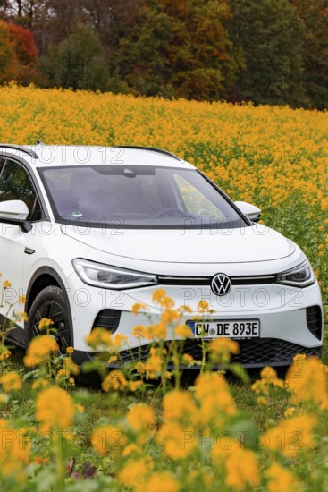 A white car is parked in a yellow flower field under a clear sky, Deer E-Carsharing, VW ID4, Calw, Germany