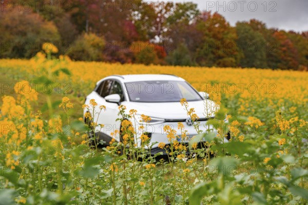 An SUV stands in a yellow flower field with autumn trees in the background, Deer E-Carsharing, VW ID4, Calw, Germany