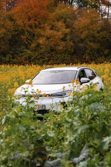 An SUV stands in a yellow field in front of an autumn-colored forest, Deer E-Carsharing, VW ID4, Calw, Germany
