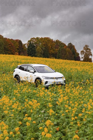 A car is standing in a big yellow field under cloudy sky, Deer E-Carsharing, VW ID4, Calw, Germany