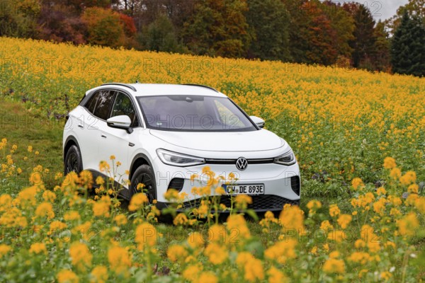 A white car drives through a blooming yellow field in autumn, Deer E-Carsharing, VW ID4, Calw, Germany