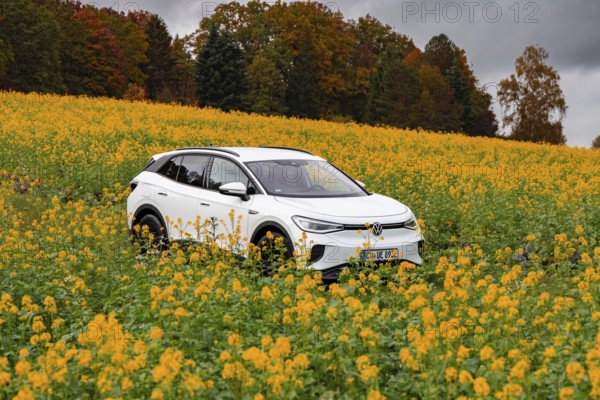 White SUV driving through a yellow flower field, autumnal atmosphere, deer e-car sharing, VW ID4, Calw, Germany