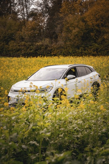 SUV surrounded by yellow flowers in a picturesque landscape, deer e-car sharing, VW ID4, Calw, Germany