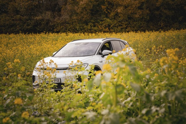 White SUV in a yellow flower field on a sunny day, Deer e-Carsharing, VW ID4, Calw, Germany