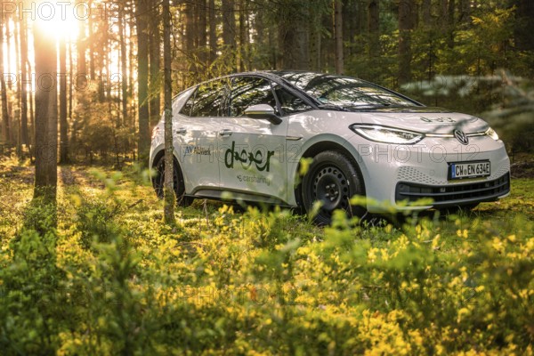A car drives through a sun-drenched forest in soft evening light, Deer E-Carsharing, VW ID3, Calw, Germany