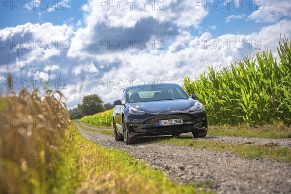 Black car driving along a rural dirt road surrounded by green corn fields and blue skies, Deer E-Carsharing, Tesla Model 3, Calw, Germany