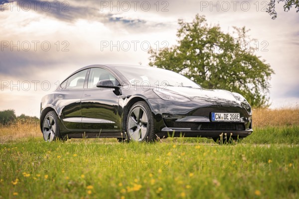Black car on country road with tree in background under cloudy sky, Deer E-Carsharing, Tesla Model 3, Calw, Germany