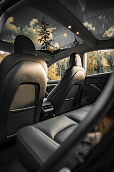 Car interior with leather seats and forest view through skylight, Deer e-car sharing, Tesla Model 3, Calw, Germany