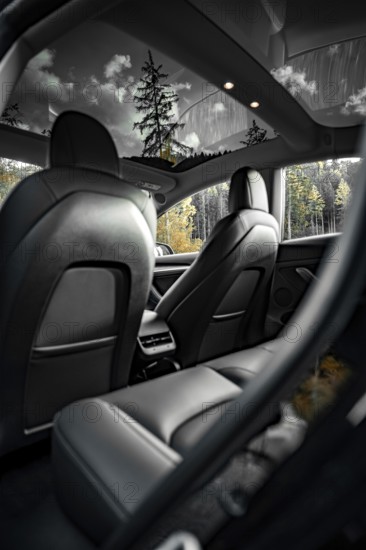 Car interior with leather seats and view of trees through skylights, Deer e-car sharing, Tesla Model 3, Calw, Germany