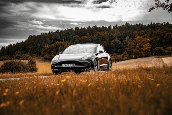 Black car in a meadow against a wooded background under partly cloudy sky, Deer E-Carsharing, Tesla Model 3, Calw, Germany