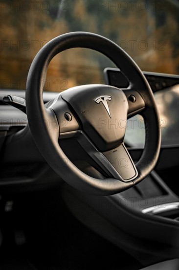 Close-up of a Tesla steering wheel in a modern interior, Deer e-Carsharing, Tesla Model 3, Calw, Germany