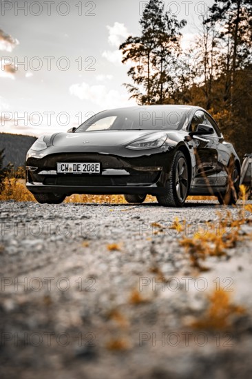 Black Tesla on dirt road at sunset in natural environment, Deer e-car sharing, Tesla Model 3, Calw, Germany