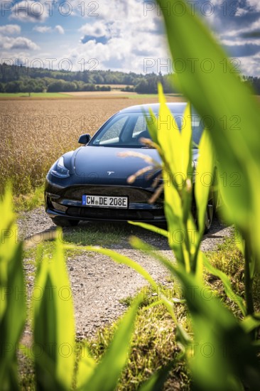 Black car hidden behind plants with a view of vast fields and blue sky, Deer E-Carsharing, Tesla Model 3, Calw, Germany