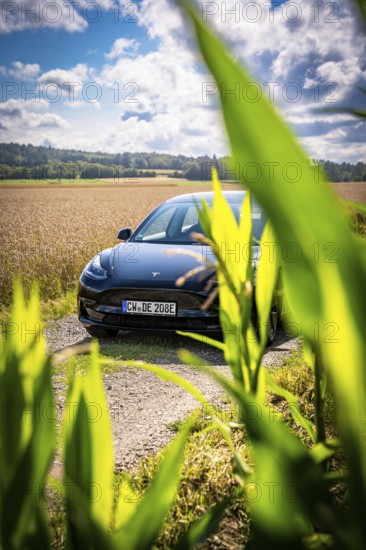 Black car behind green plants in rural area under blue sky, Deer E-Carsharing, Tesla Model 3, Calw, Germany
