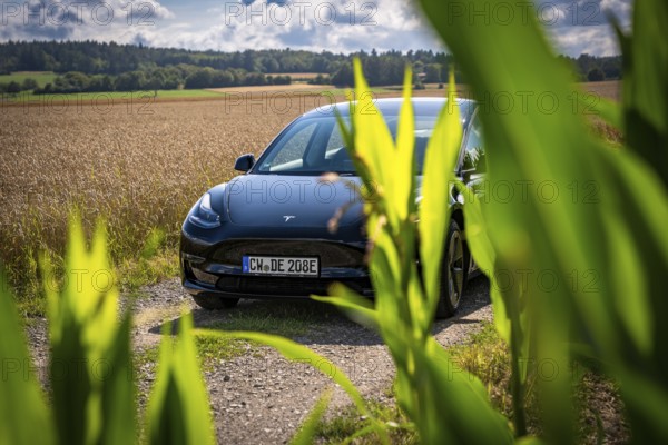 Black car between fields, partly covered by plants, in sunny weather, Deer E-Carsharing, Tesla Model 3, Calw, Germany