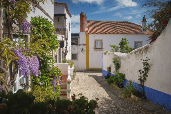 Narrow streets lined with white houses and vibrant flowers in Obidos, a medieval town in Portugal