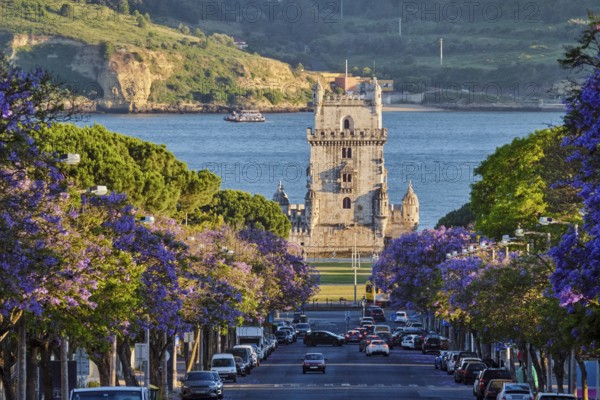 Blooming jacaranda trees line the street as visitors admire Belem Tower on the Tagus River at sunset in Lisbon, Portugal. Belem, Lisbon, Portugal