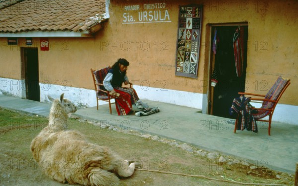 Llama lying in front of a souvenir shop in Cusco, Andean Highlands, Peru, South America, September 1997, vintage, retro, old, historic