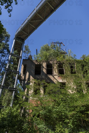 Lost Place, Treetop Trail of the Beelitz Heilstätten, Brandenburg
