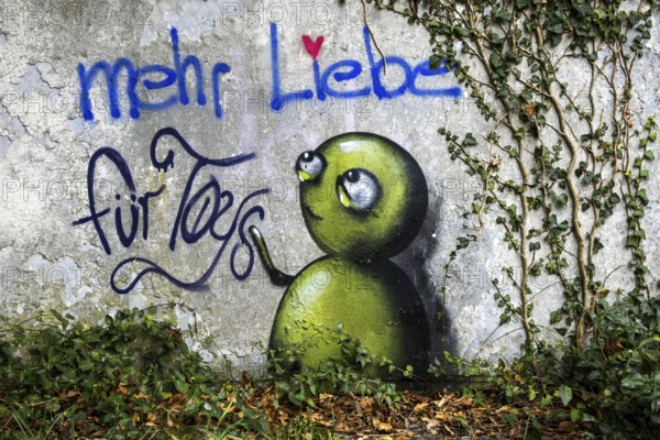 Grafity on an old house wall, dilapidated plant of a former agricultural production cooperative of the former GDR, LPG, Lost Place, Müggenburg, Fischland-Darß-Zingst, Western Pomerania National Park, Mecklenburg-Western Pomerania, Germany