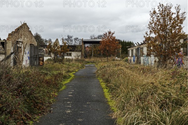 Dilapidated halls of the dilapidated plant of a former agricultural production cooperative of the former GDR, LPG, Lost Place, Müggenburg, Fischland-Darß-Zingst, Western Pomerania National Park, Mecklenburg-Western Pomerania, Germany
