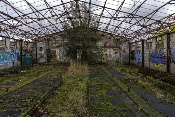 Dilapidated hall with gravity of the dilapidated plant of a former agricultural production cooperative of the former GDR, LPG, Lost Place, Müggenburg, Fischland-Darß-Zingst, Western Pomerania National Park, Mecklenburg-Western Pomerania, Germany