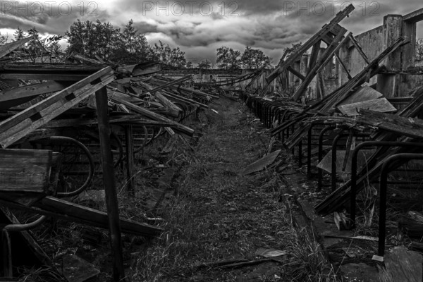 Dilapidated hall of the dilapidated plant of a former agricultural production cooperative of the former GDR, LPG, Lost Place, black and white photo, Müggenburg, Fischland-Darß-Zingst, Western Pomerania National Park, Mecklenburg-Western Pomerania, Germany
