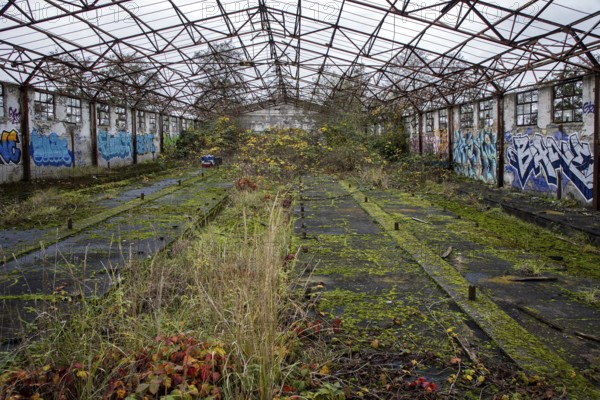 Dilapidated hall with graphite, dilapidated plant of a former agricultural production cooperative of the former GDR, LPG, Lost Place, Müggenburg, Fischland-Darß-Zingst, Western Pomerania National Park, Mecklenburg-Western Pomerania, Germany