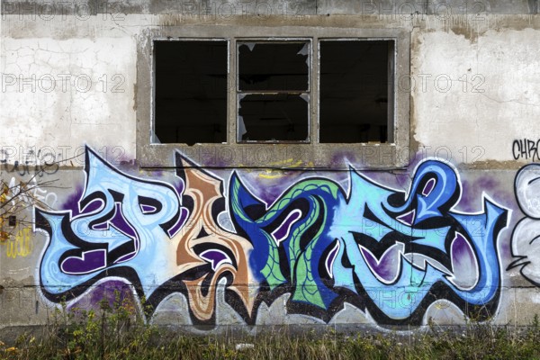 Alte Wand with Grafity, dilapidated plant of a former agricultural production cooperative of the former GDR, LPG, Lost Place, Müggenburg, Fischland-Darß-Zingst, Western Pomerania National Park, Mecklenburg-Western Pomerania, Germany