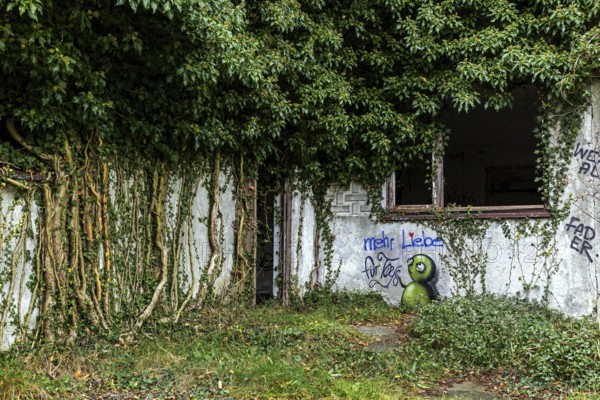 Grafity on an old house wall with ivy, dilapidated plant of a former agricultural production cooperative of the former GDR, LPG, Lost Place, Müggenburg, Fischland-Darß-Zingst, Western Pomerania National Park, Mecklenburg-Western Pomerania, Germany