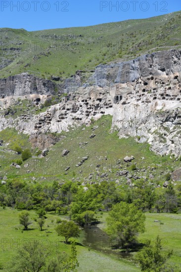 Rocks with engraved caves surrounded by green grass and trees, cave town, cave monastery, Kura river, Vardzia, Samtskhe—Javakheti region, Samtske Javacheti, Lesser Caucasus, Georgia