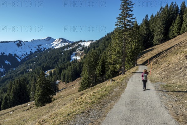 Female hiker on high-altitude hiking trail from Bolsterlanger Horn to Riedberger Horn, back Riedbergerhorn, Bolsterlang, Oberstdorf, Oberallgäu, Allgäu, Bavaria, Germany