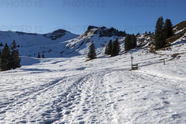 High-altitude hiking trail from Bolsterlanger Horn to Riedberger Horn, snow-covered, behind Riedbergerhorn, Bolsterlang, Oberstdorf, Oberallgäu, Allgäu, Bavaria, Germany