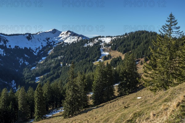 View from the high-altitude hiking trail from Bolsterlanger Horn to Riedberger Horn, behind Riedbergerhorn, Bolsterlang, Oberstdorf, Oberallgäu, Allgäu, Bavaria, Germany
