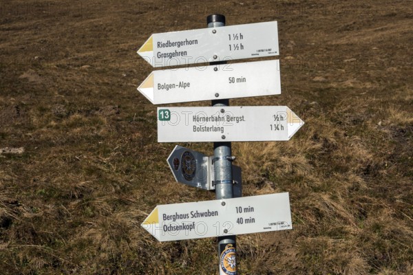 Hiking trail on the high-altitude hiking trail from Bolsterlanger Horn to Riedberger Horn, Bolsterlang, Oberstdorf, Oberallgäu, Allgäu, Bavaria, Germany