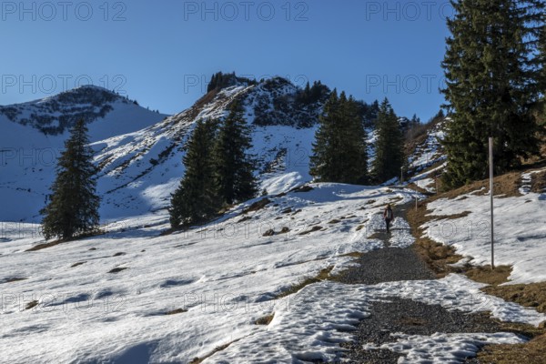 High-altitude hiking trail from Bolsterlanger Horn to Riedberger Horn, snow-covered, rear left Riedbergerhorn, Bolsterlang, Oberstdorf, Oberallgäu, Allgäu, Bavaria, Germany