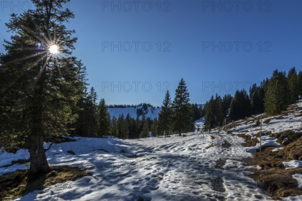High-altitude hiking trail from Bolsterlanger Horn to Riedberger Horn, snow-covered, Bolsterlang, Oberstdorf, Oberallgäu, Allgäu, Bavaria, Germany