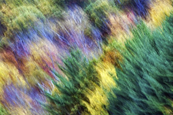 Colorful autumn leaves, Indian summer, smudge effect, blur, Massachusetts, New England, USA
