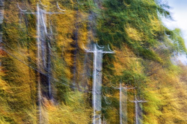 Power line poles, colorful autumn leaves, Indian summer, smudge effect, blur, Massachusetts, New England, USA
