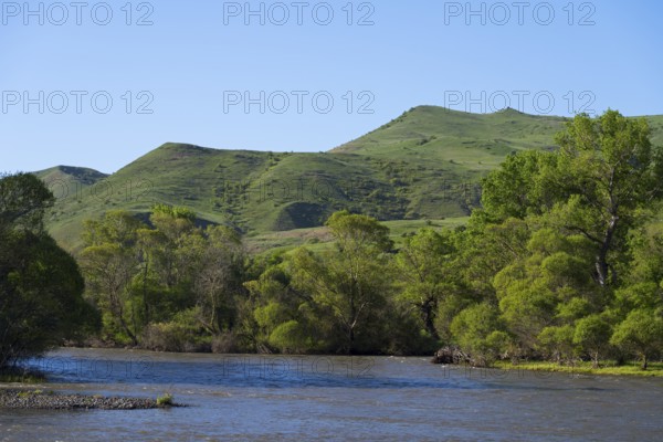 A river surrounded by green hills and trees, under a blue sky, Kura river near Aspindza, Samtskhe-Javakheti region, Samtskhe-Javakheti, Georgia