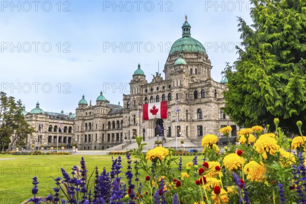 The british columbia parliament buildings are shown displaying a large canadian flag during summer in victoria, british columbia, canada, with colorful flowers in the foreground